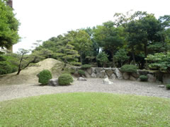 中庭の風景 中庭の風景
